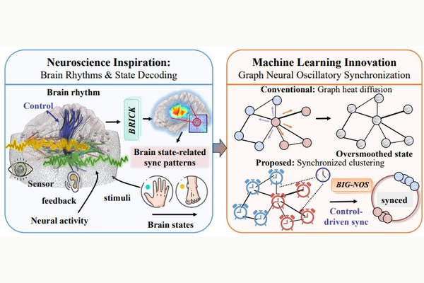 Let Brain Rhythm NeurIPS 2025