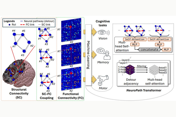 NeuroPath NeurIPS 2024
