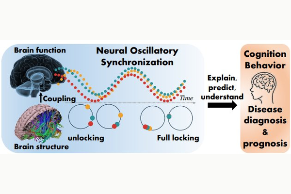 SyncBrain AAAI 2026